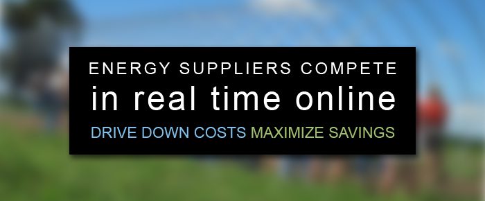 Making energy suppliers compete in real time online to drive down costs and maximize savings.